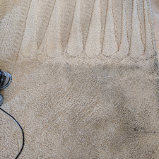 College-Carpet-Makeovers-in-Bloomington-Illinois 2